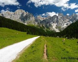 Immagine di Paesaggio Dolomitico con sentiero