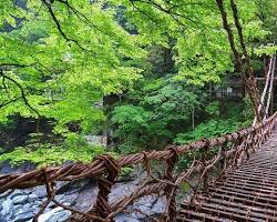 Iya Kazurabashi vine bridge Tokushima Japan, AI로 생성