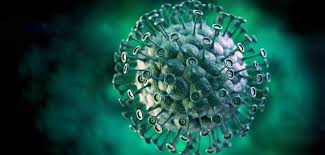 vogelgrippe mutation