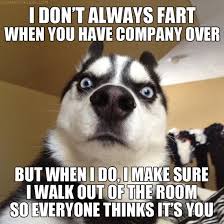 Funniest Dog Quotes. QuotesGram via Relatably.com