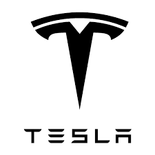 Image result for TESLA