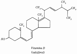 VITAMINA D