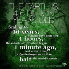 earth: quotes, pictures, more on Pinterest | Environment Quotes ... via Relatably.com