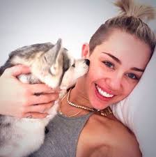 Image result for picture of miley cyrus