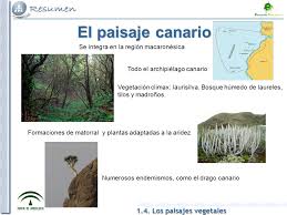 Resultado de imagen de paisaje de canario