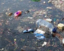 Imagen de Basura contaminando el suelo y el agua