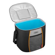 Thermos® Insulated Cooler Bag | Thermos® – Thermos Brand