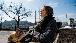 Hidegfront : ce qu'il faut savoir — image 4