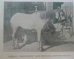 caballo blanco Martinete Antonio Maceo ilustración histórica, AI generated