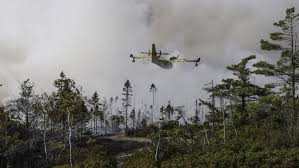 News source: CBC
