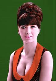 Resultado de imagem para suzanne pleshette