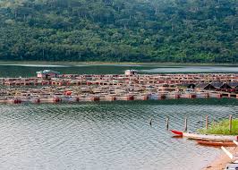 Image result for volta region ghana