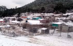 VIDEO | Nieva en Guanaceví, Durango; así se ve pintado de blanco