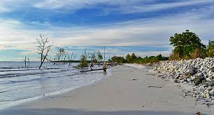 Image result for pantai kelanang morib