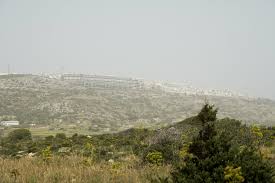 Trend Google: malta