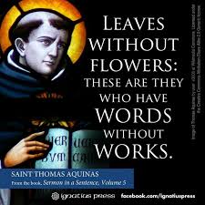 St thomas aquinas Quotes. QuotesGram via Relatably.com