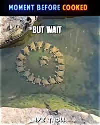 Something Cooking 💀 #trollface #troll #edit - YouTube