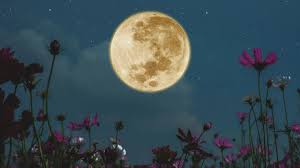 Calendario lunar de mayo 2026: dos Lunas llenas, una Superluna nueva y Venus al atardecer