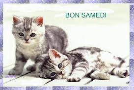 Résultat de recherche d'images pour "samedi"