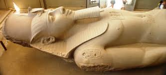Image result for memphis ramses