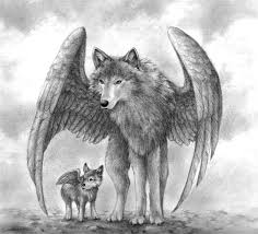 Image result for wolves