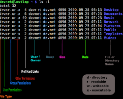 Image of Linux user and group permissions