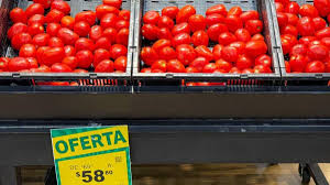Precio Del Jitomate
