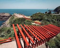 山口県 元乃隅神社の画像
