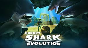 Résultat de recherche d'images pour "hungry shark evolution"