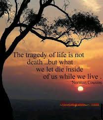 Norman Cousins | Great Quotes.... | Pinterest | Cousins via Relatably.com