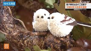 NHK - News update