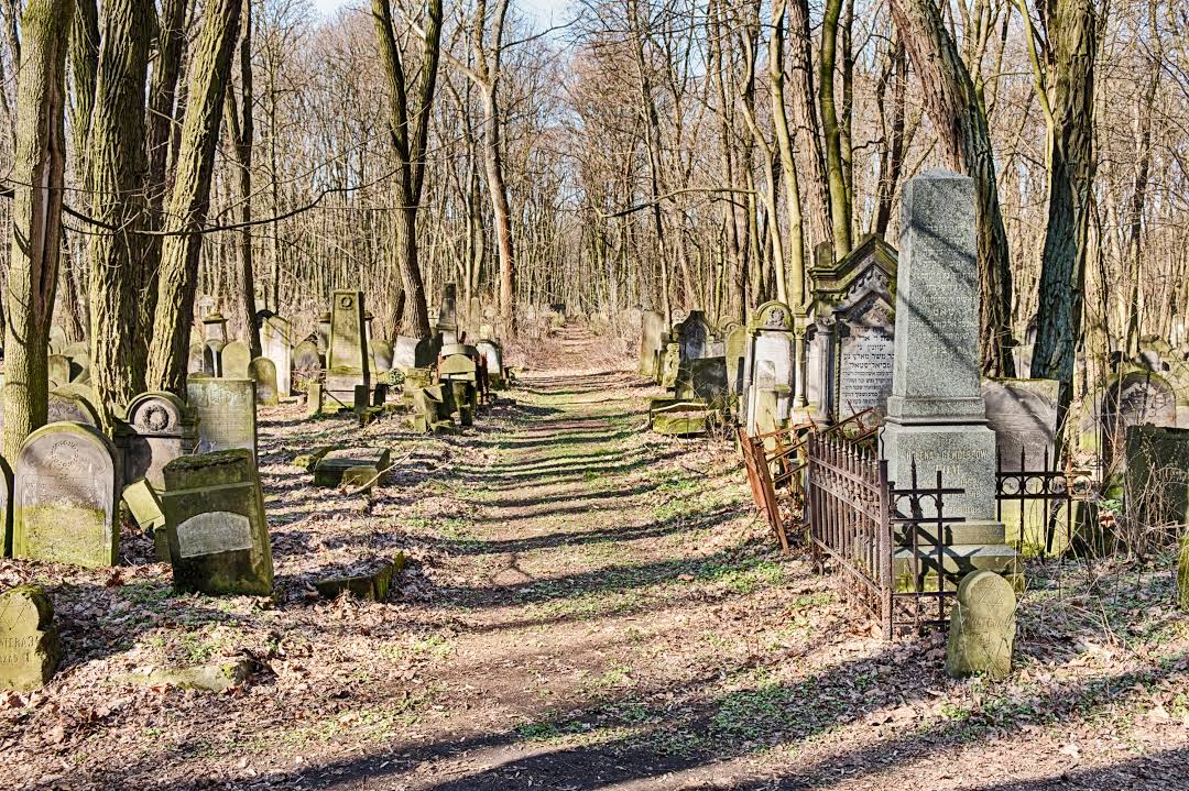 Отряд варшавы могильник. Еврейское кладбище Варшавы. Еврейское кладбище Варшавы старые фотографии.