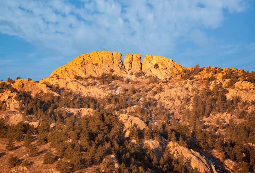 Moving Services in Fort Collins, CO