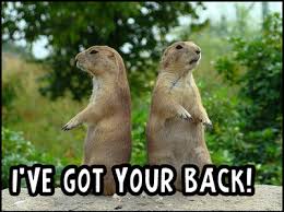 Image result for ive got your back