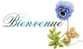 Résultat de recherche d'images pour "gif bienvenue"