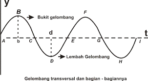 Hasil gambar untuk gambar gelombang transversal