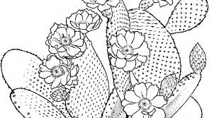 Résultat de recherche d'images pour "cactus coloring pages"
