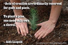 environmental-quote-aldo-leopold.jpg via Relatably.com