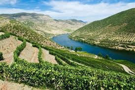 Vranken Pommery & Associés peine à finaliser son refinancement ; distribution du dividende compromise