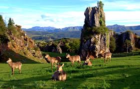 Resultado de imagen para Cantabria españa paisajes
