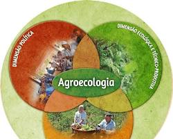 Imagem de Agroecologia