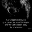 Wolf quotes
