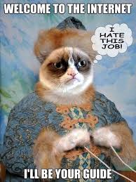 Image result for welcome to the internet meme