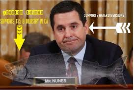 Image result for pictures of devin nunes