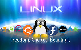 Hasil gambar untuk linux