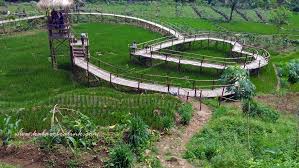 Hasil gambar untuk pesona alam desa wisata panusupan purbalingga