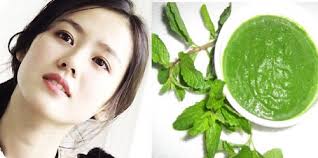 Lá bạc hà cũng là một bí quyết tuyệt vời đó nha