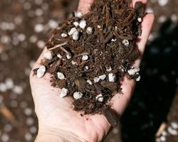 Image of Potting mix