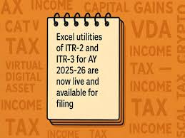 ITR-2 and ITR-3 excel utility released by Income Tax Department; Taxpayers with capital gains, crypto, oth