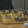 Story image for Healthy Pasta Recipes Vegan from ABC27